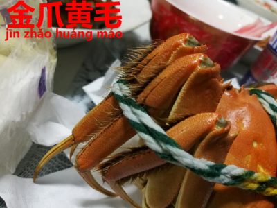 黄金の毛の上海蟹