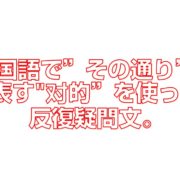 中国語でその通りを表す对的”を使った反復疑問文。