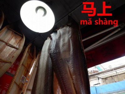 202_DSCN88961