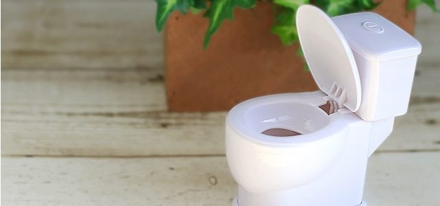 中国のトイレはトイレットペッパーを流すと詰まるって本当