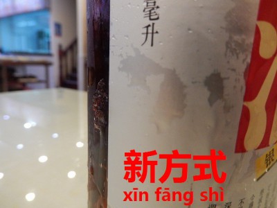 252_DSCN0031