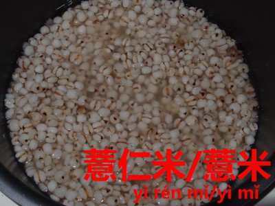 267_P9031095