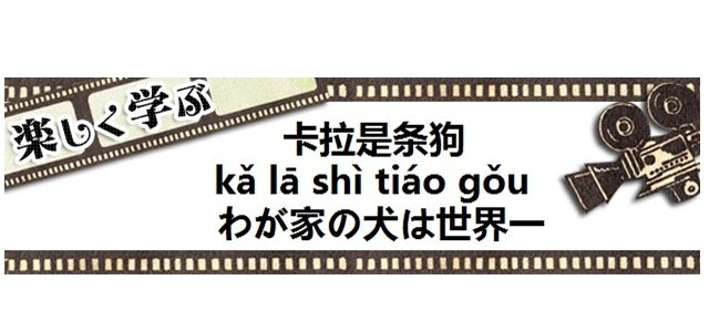 中国映画わが家の犬は世界一