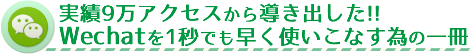 実績 9万アクセスから導き出した、1秒でも早く使いこなす為の一冊