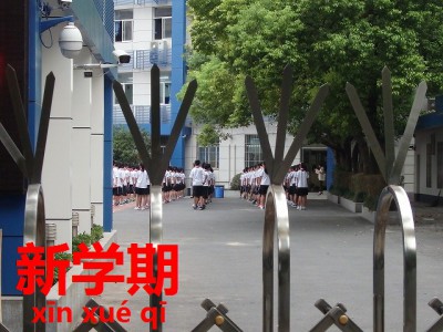 p9053590