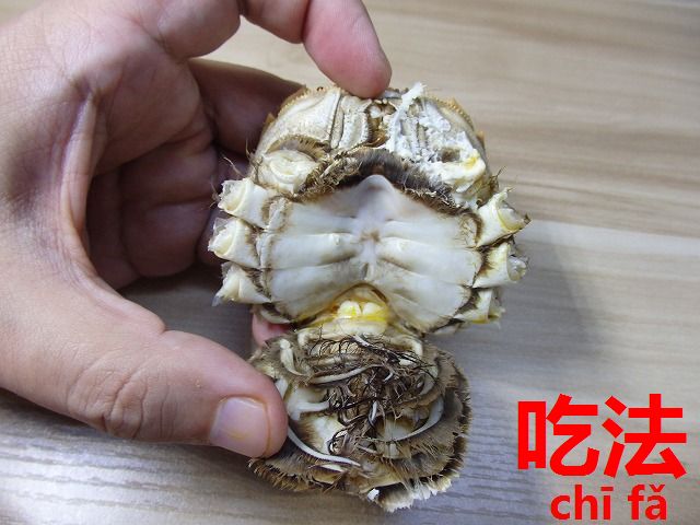 上海蟹オスメス見分け方と食べ方テクニック 食べ方 吃法 今すぐ中国語