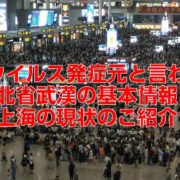 新型ウイルス発症元と言われる湖北省武漢の基本情報と上海の現状のご紹介