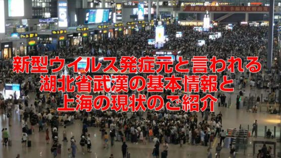 新型ウイルス発症元と言われる湖北省武漢の基本情報と上海の現状のご紹介