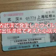 湖北省武漢で発生したウイルス。武漢出張準備で考えた心構え。